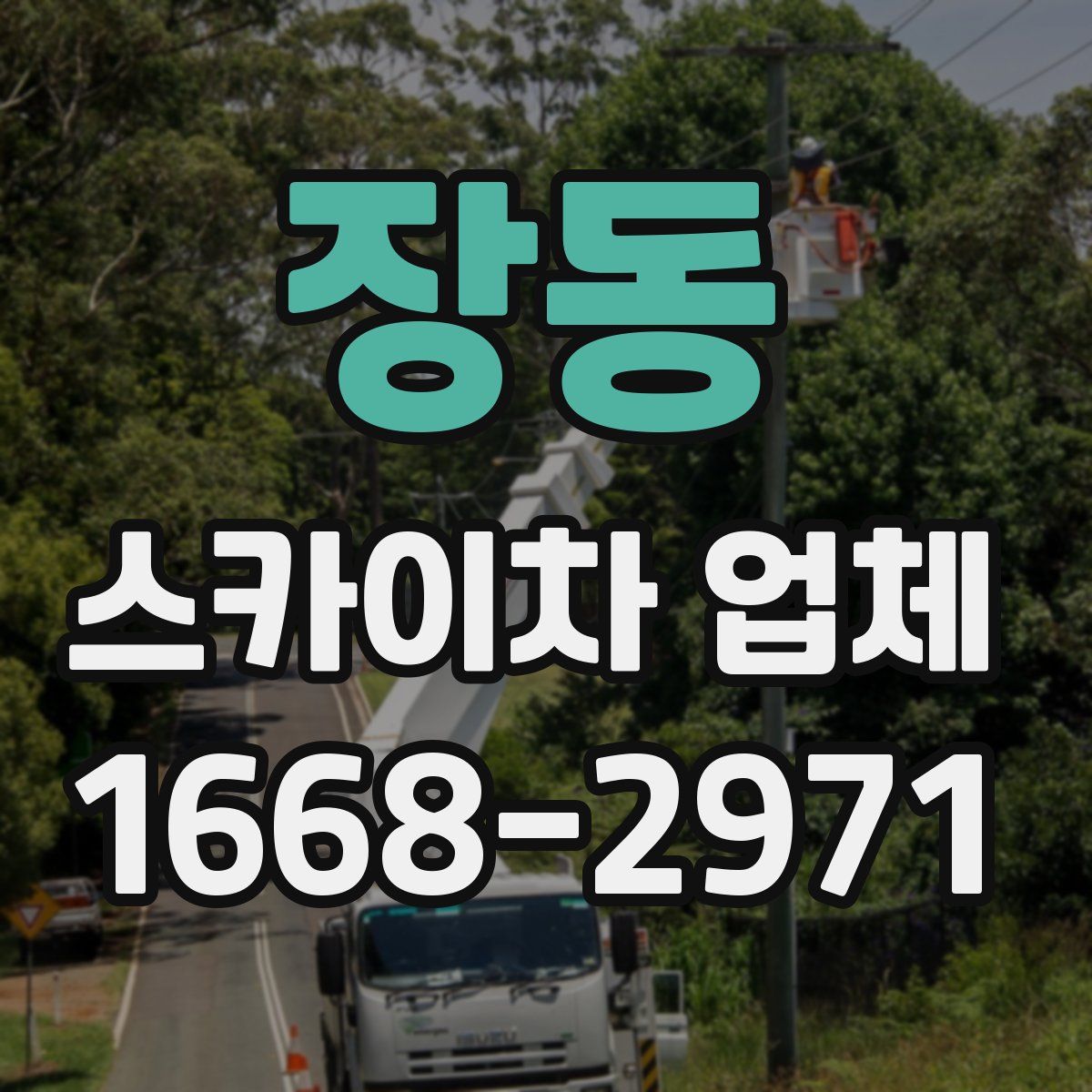 장동 스카이차 업체