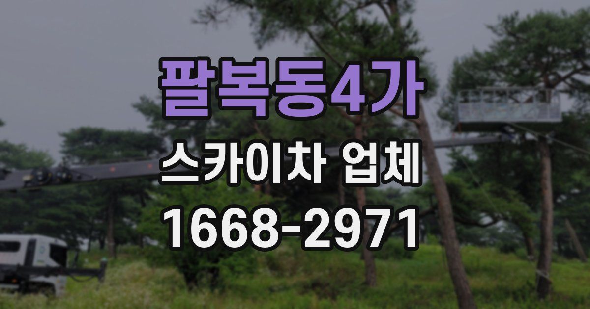 팔복동4가 스카이차 업체