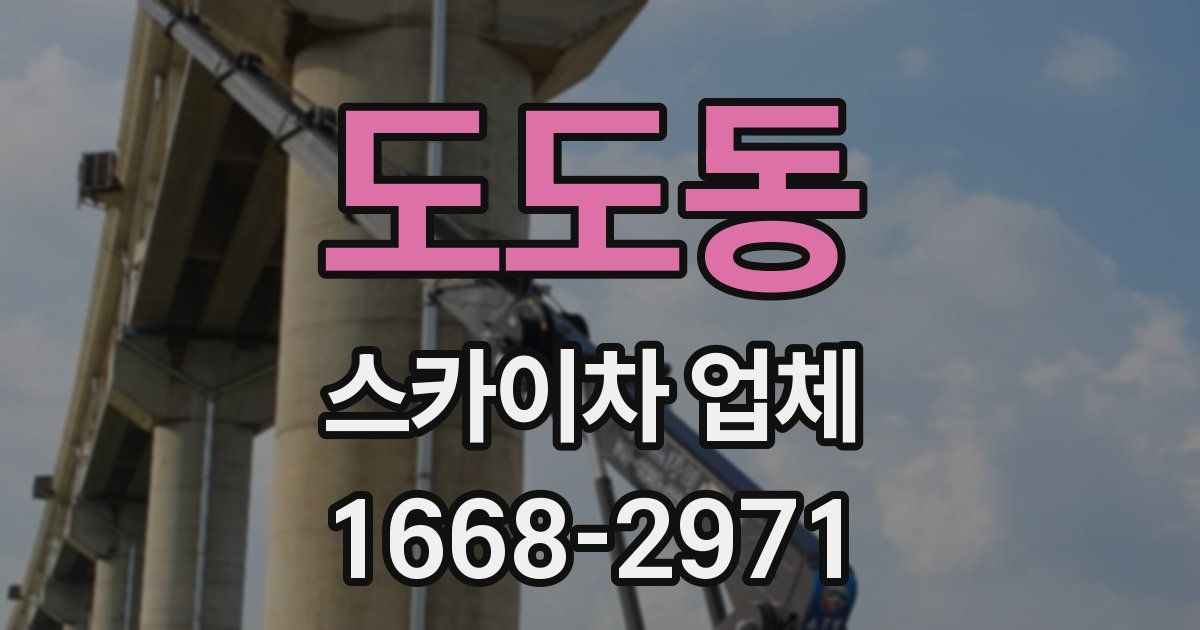 도도동 스카이차 업체