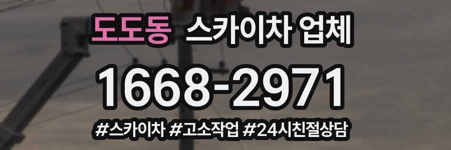 도도동 스카이차 업체
