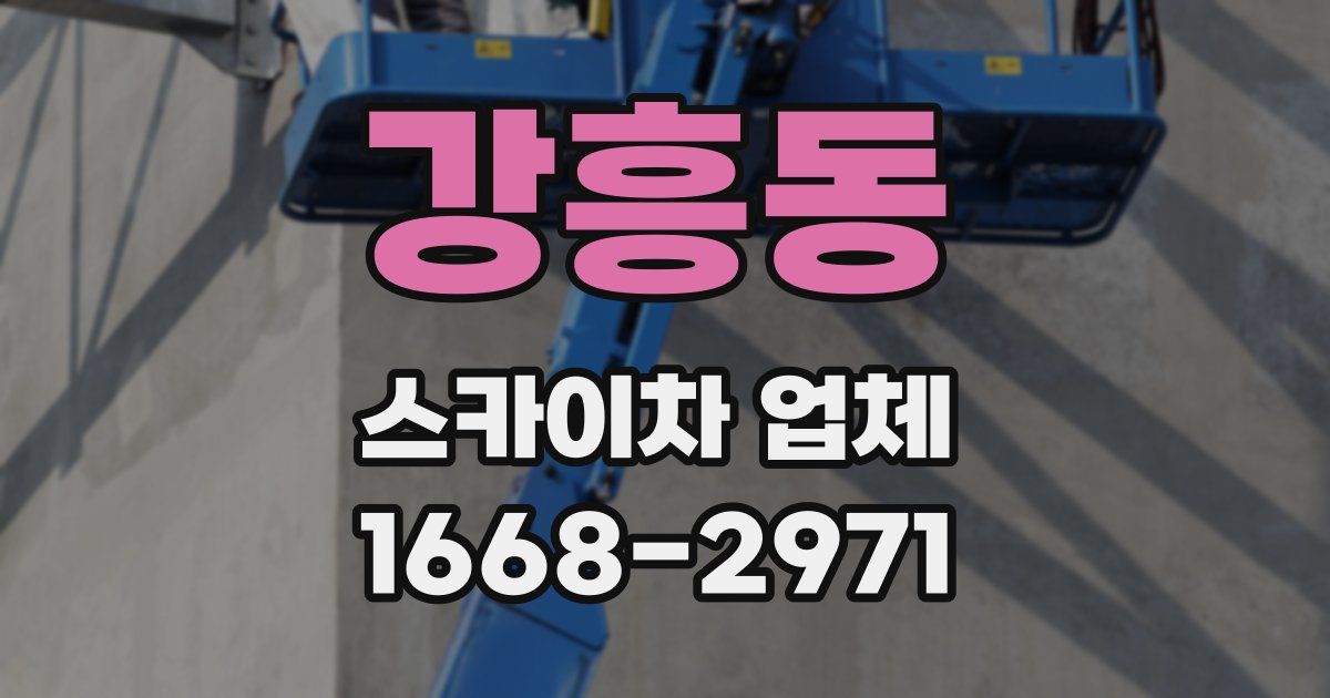 강흥동 스카이차 업체