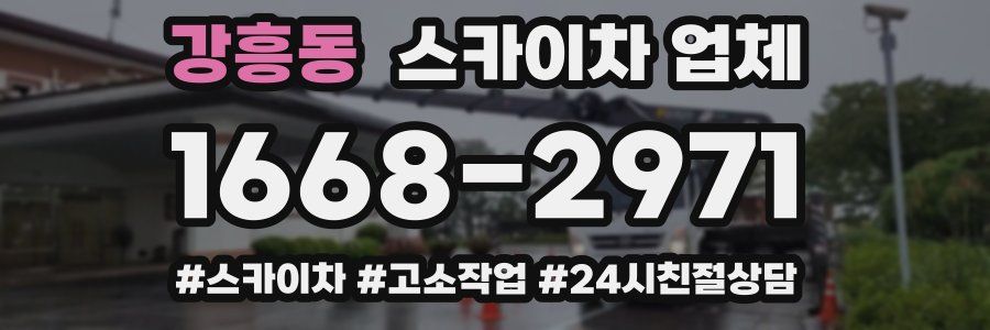 강흥동 스카이차 업체