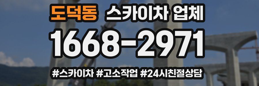 도덕동 스카이차 업체