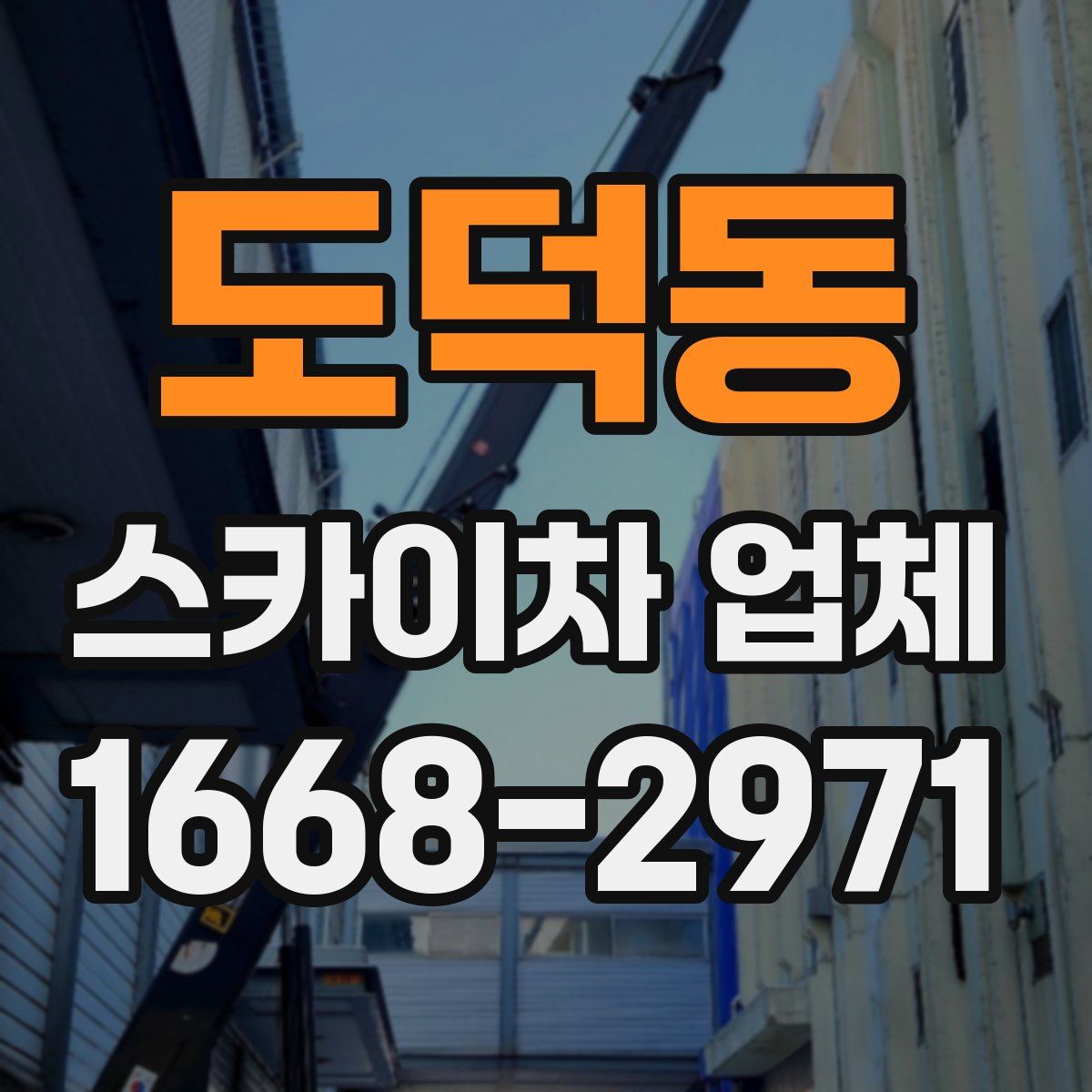 도덕동 스카이차 업체