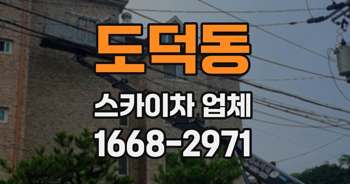 도덕동 스카이차 업체
