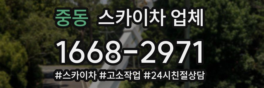 중동 스카이차 업체