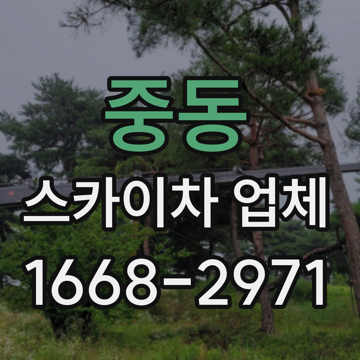 중동 스카이차 업체