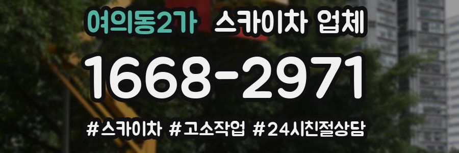 여의동2가 스카이차 업체