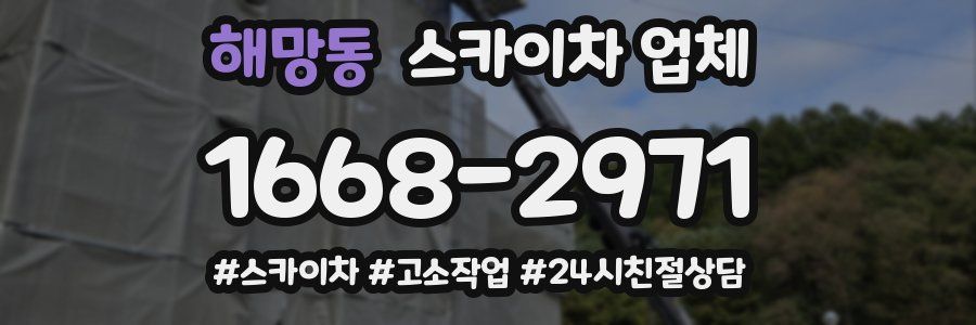 해망동 스카이차 업체