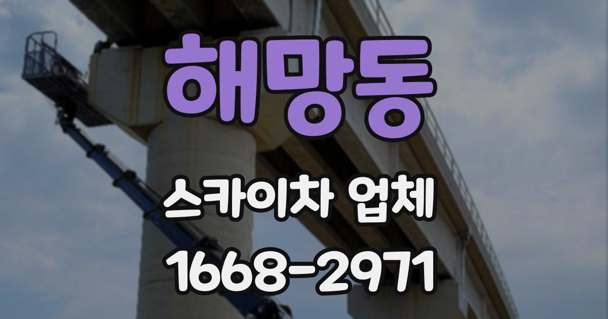 해망동 스카이차 업체
