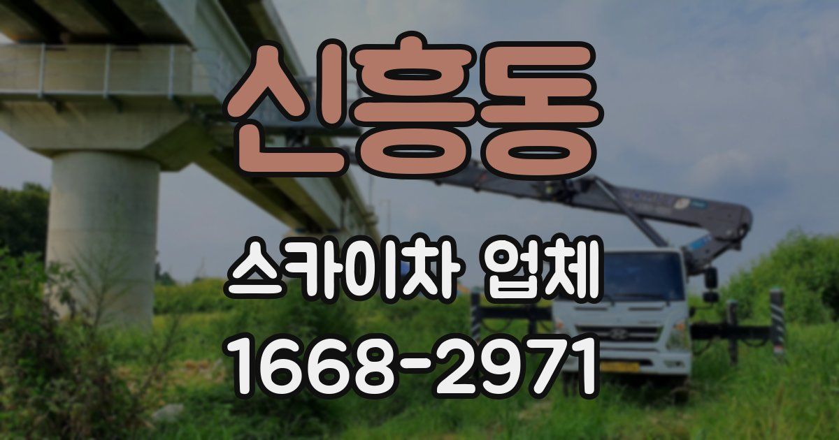 신흥동 스카이차 업체