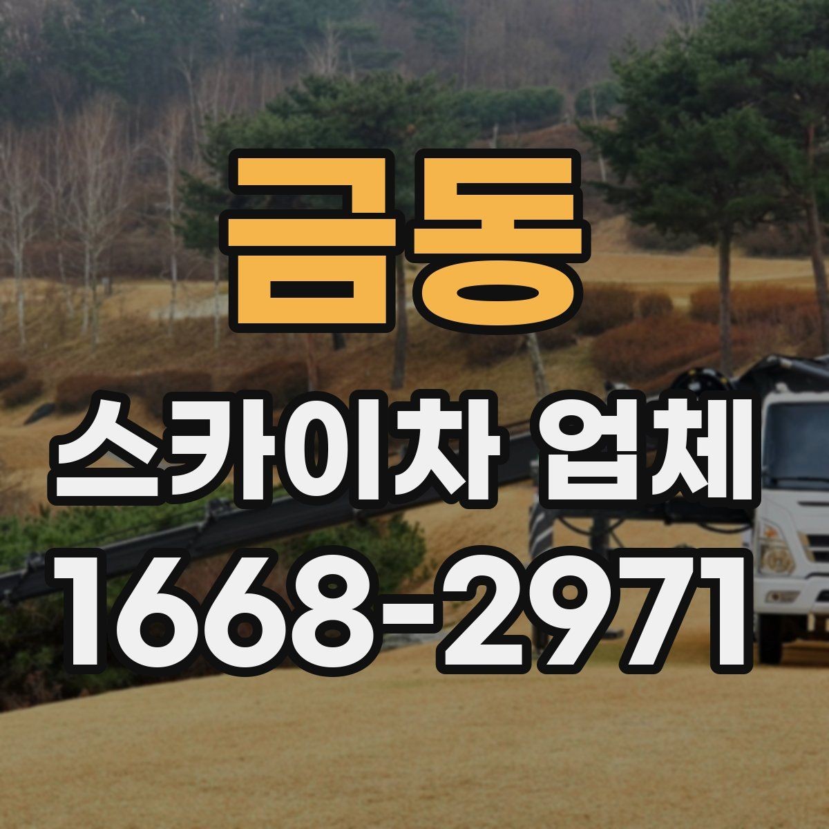금동 스카이차 업체 선택에 도움이 되는 비교 기준