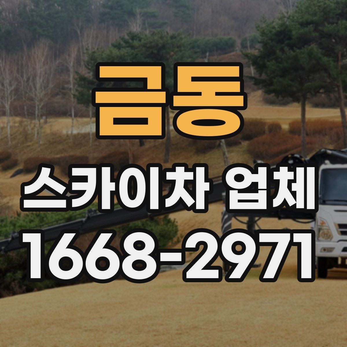 금동 스카이차 업체
