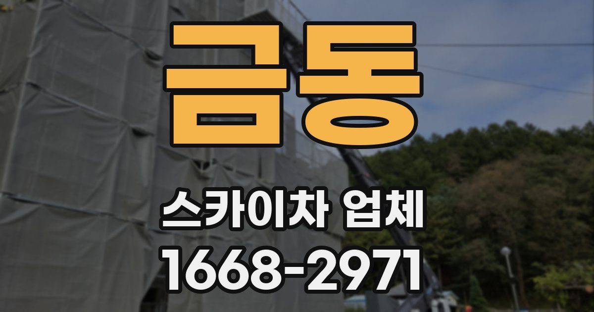 금동 스카이차 업체