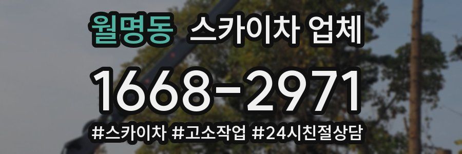 월명동 스카이차 업체