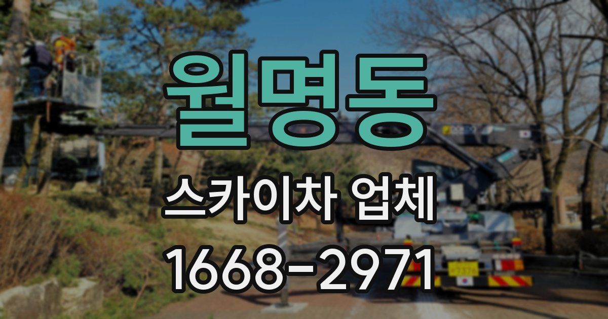 월명동 스카이차 업체