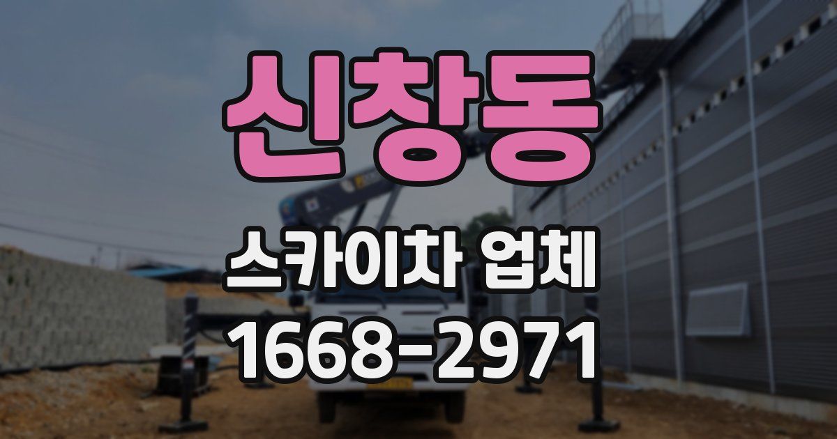 신창동 스카이차 업체