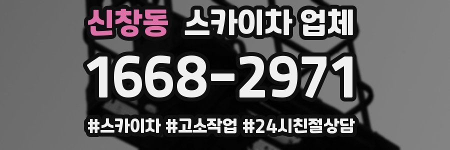 신창동 스카이차 업체