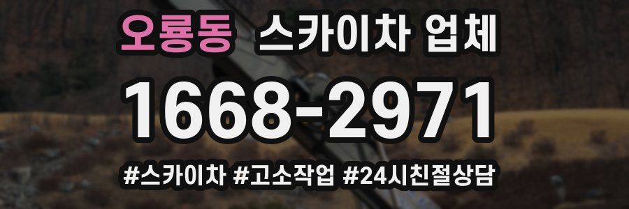 오룡동 스카이차 업체