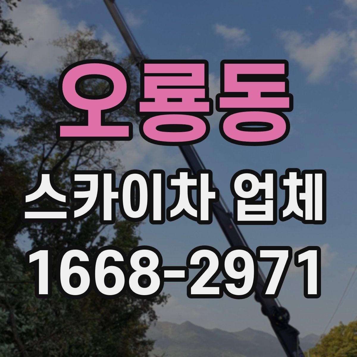 오룡동 스카이차 업체
