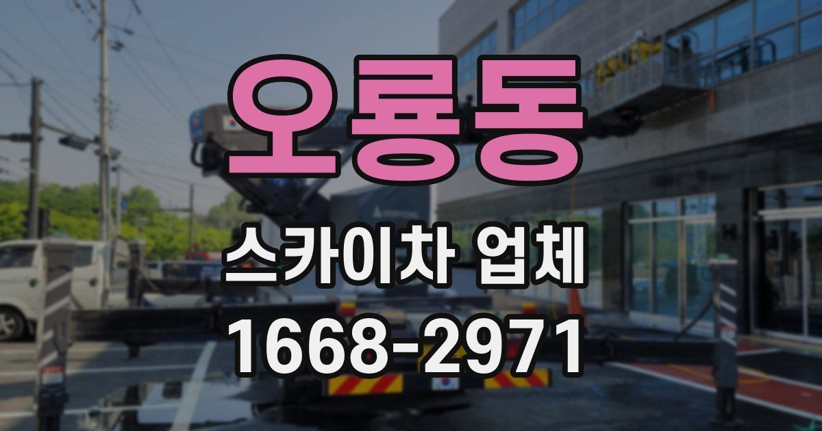 오룡동 스카이차 업체