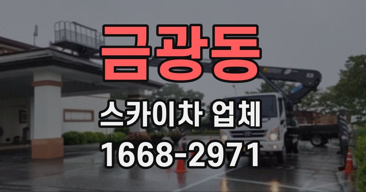 금광동 스카이차 업체
