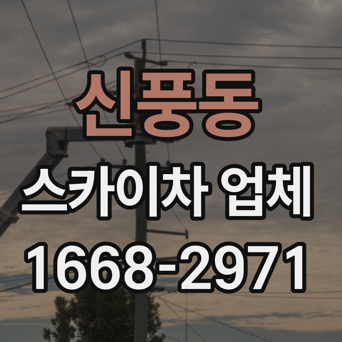 신풍동 스카이차 업체