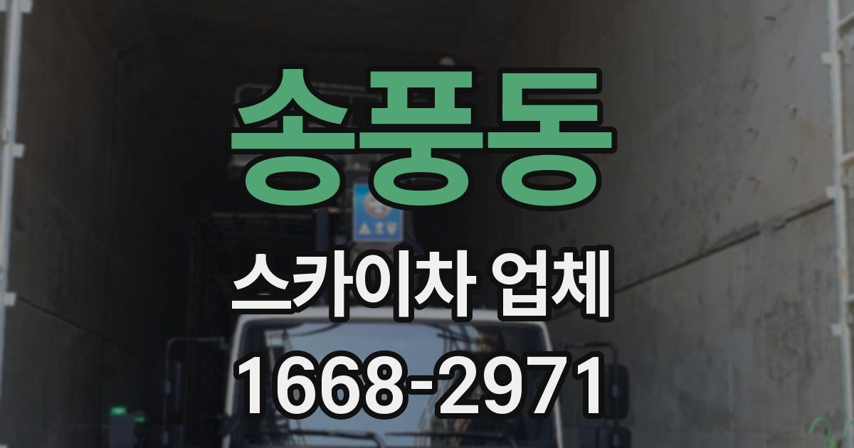 송풍동 스카이차 업체