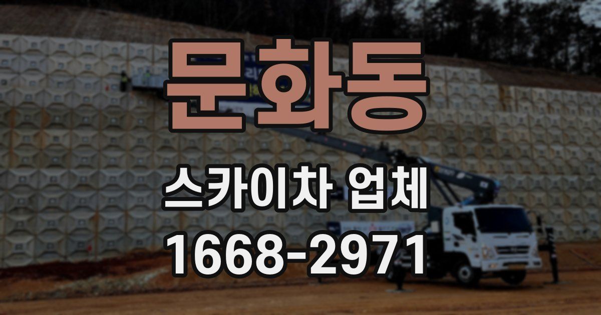 문화동 스카이차 업체