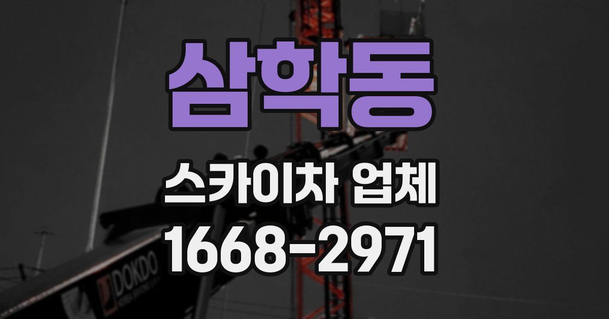 삼학동 스카이차 업체