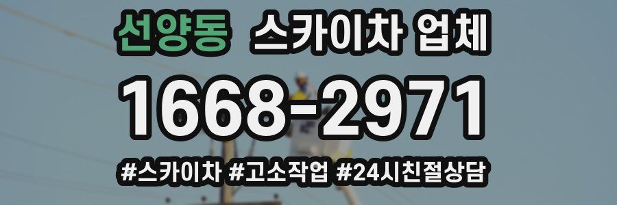선양동 스카이차 업체