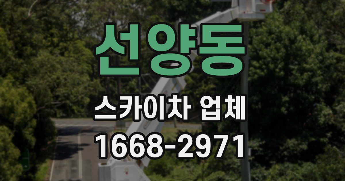 선양동 스카이차 업체