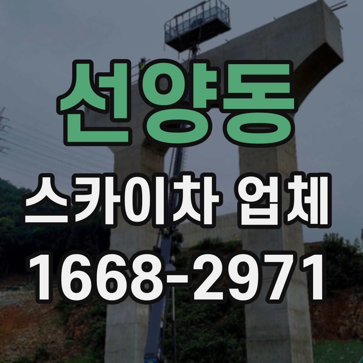 선양동 스카이차 업체