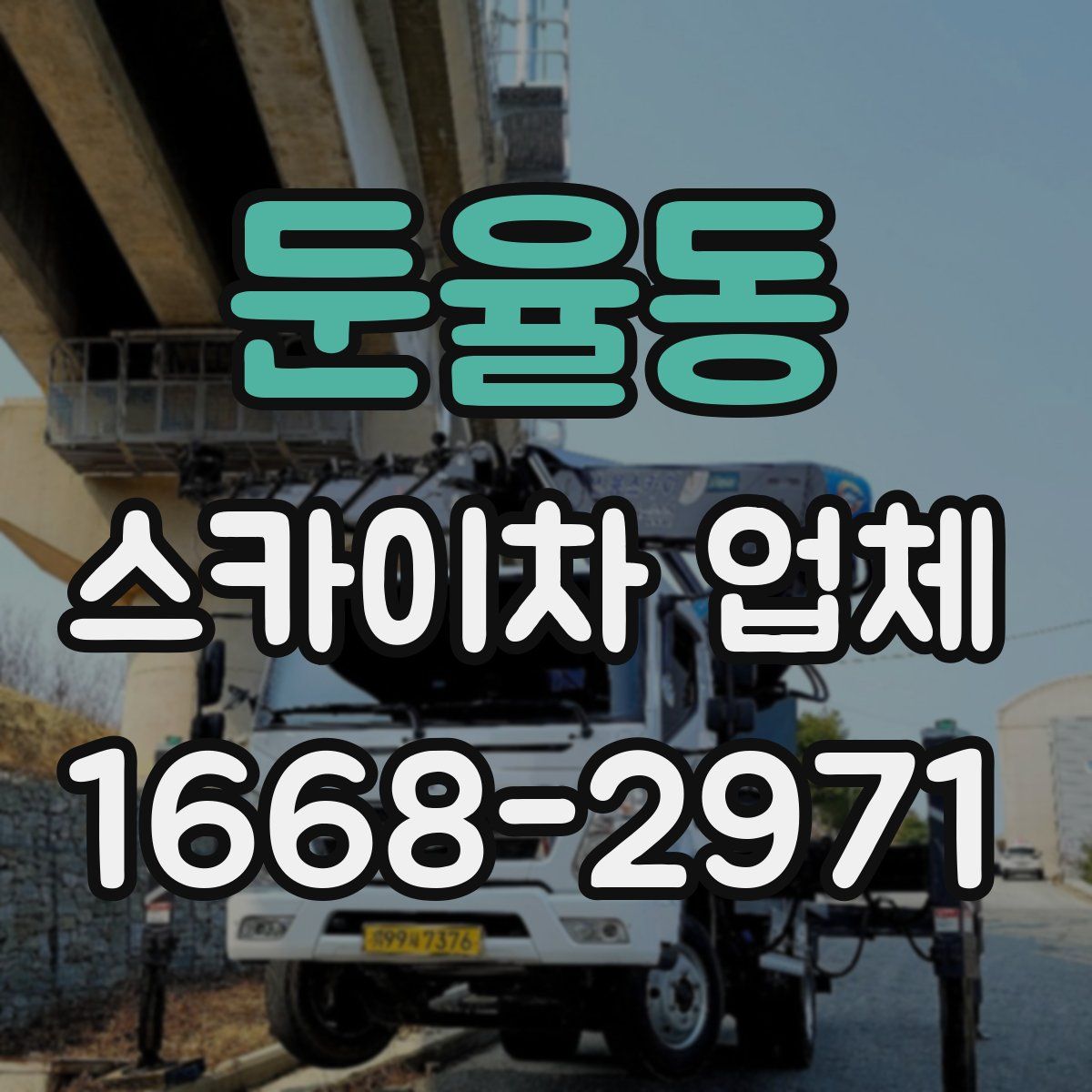 둔율동 스카이차 업체