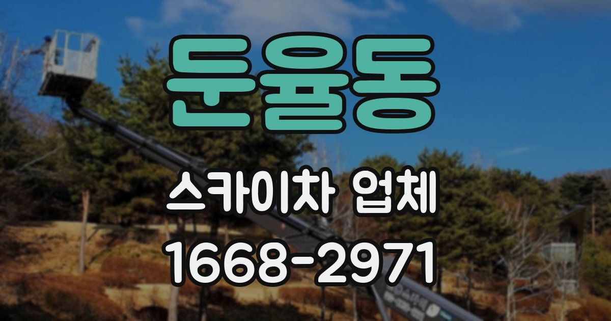 둔율동 스카이차 업체