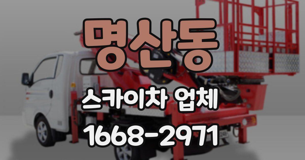 명산동 스카이차 업체