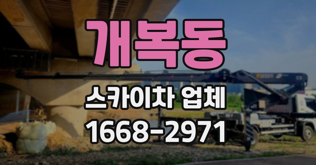 개복동 스카이차 업체
