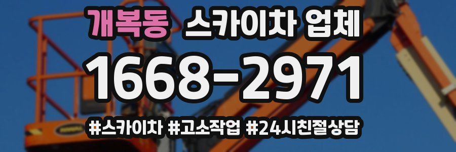 개복동 스카이차 업체