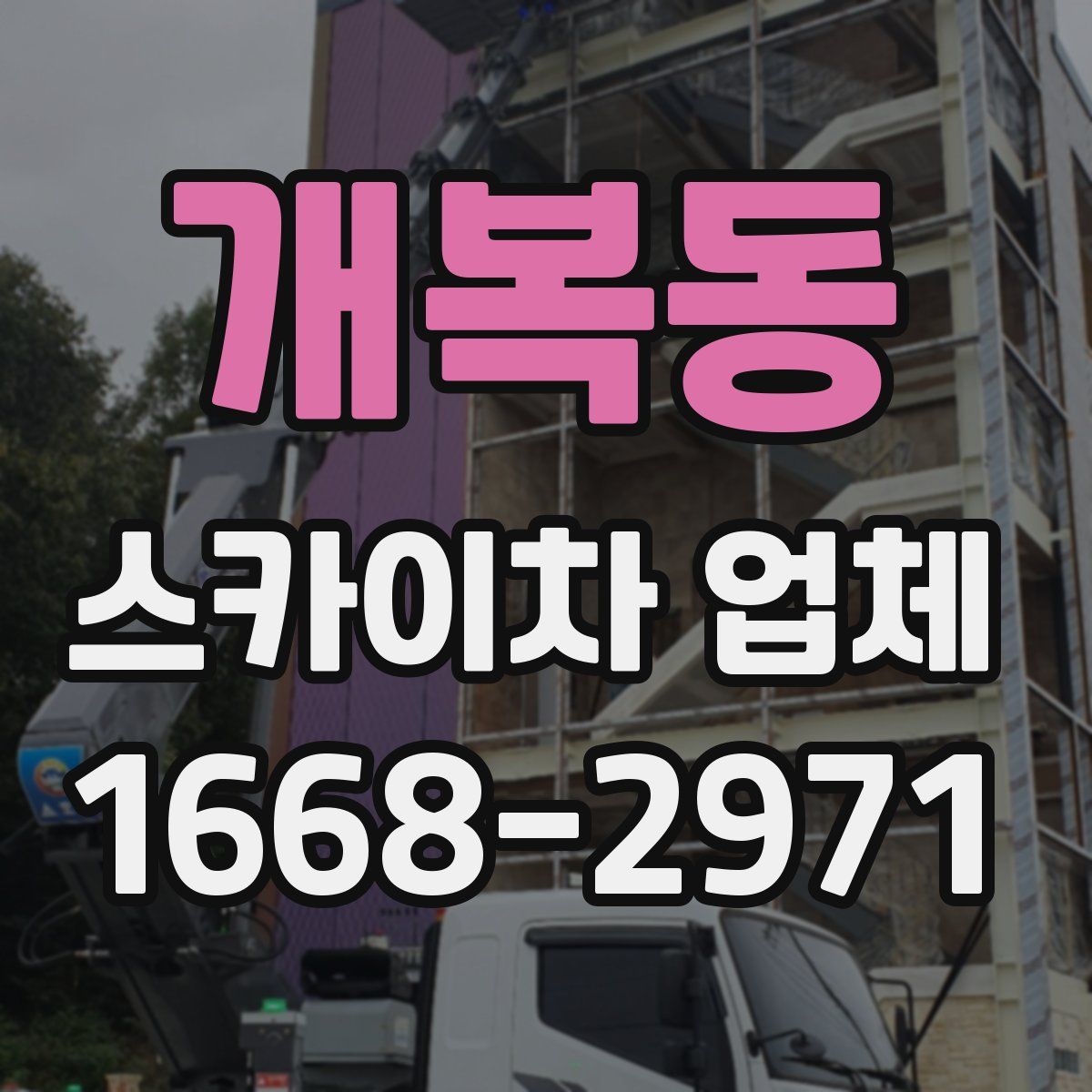 개복동 스카이차 업체