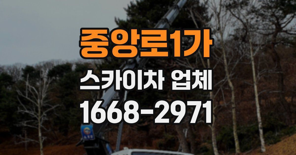 중앙로1가 스카이차 업체