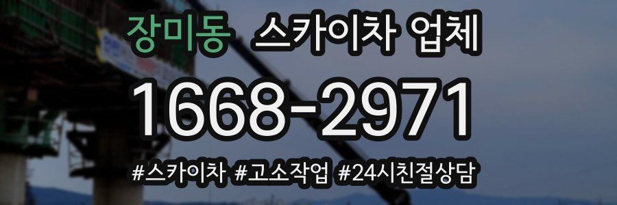 장미동 스카이차 업체
