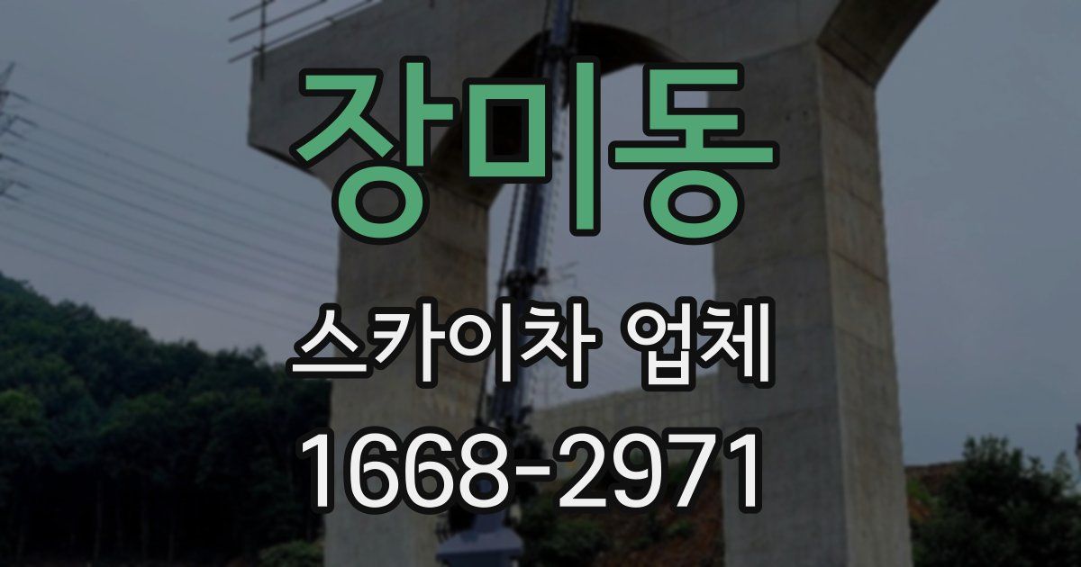 장미동 스카이차 업체