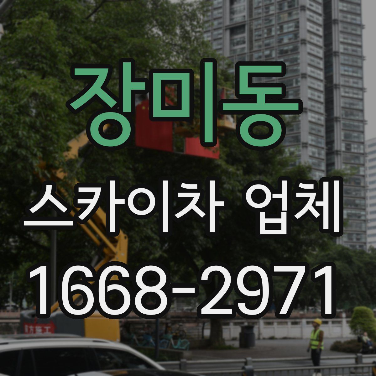 장미동 스카이차 업체