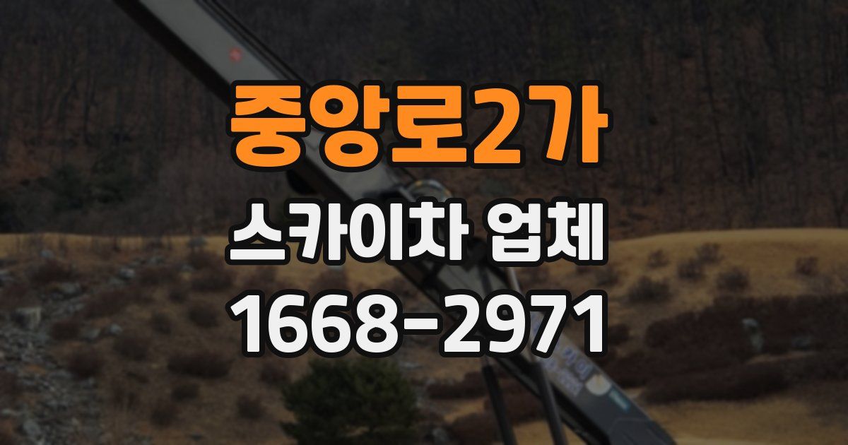 중앙로2가 스카이차 업체