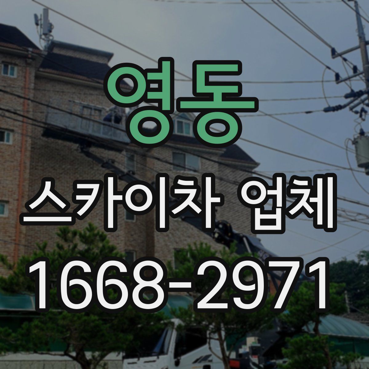 영동 스카이차 업체