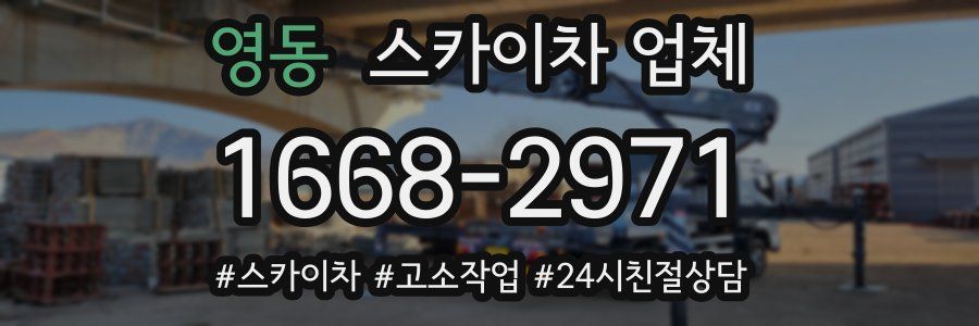영동 스카이차 업체