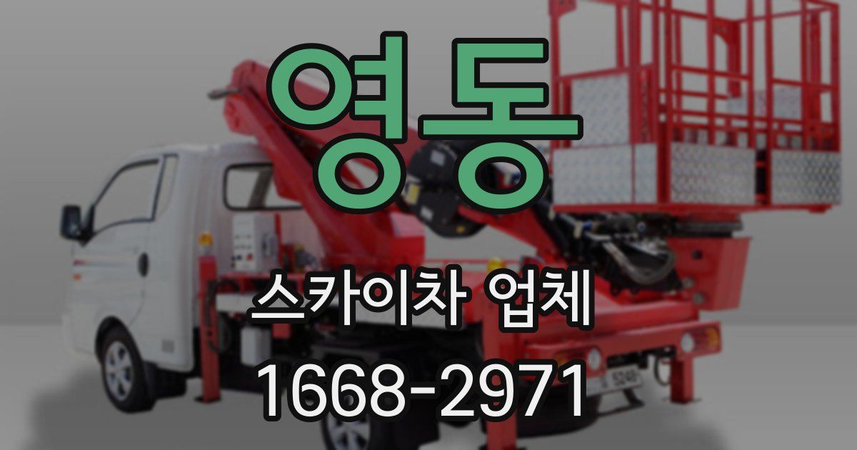 영동 스카이차 업체