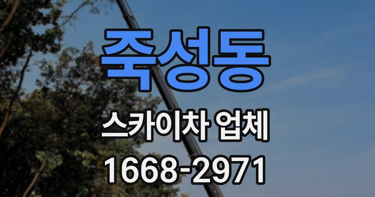 죽성동 스카이차 업체