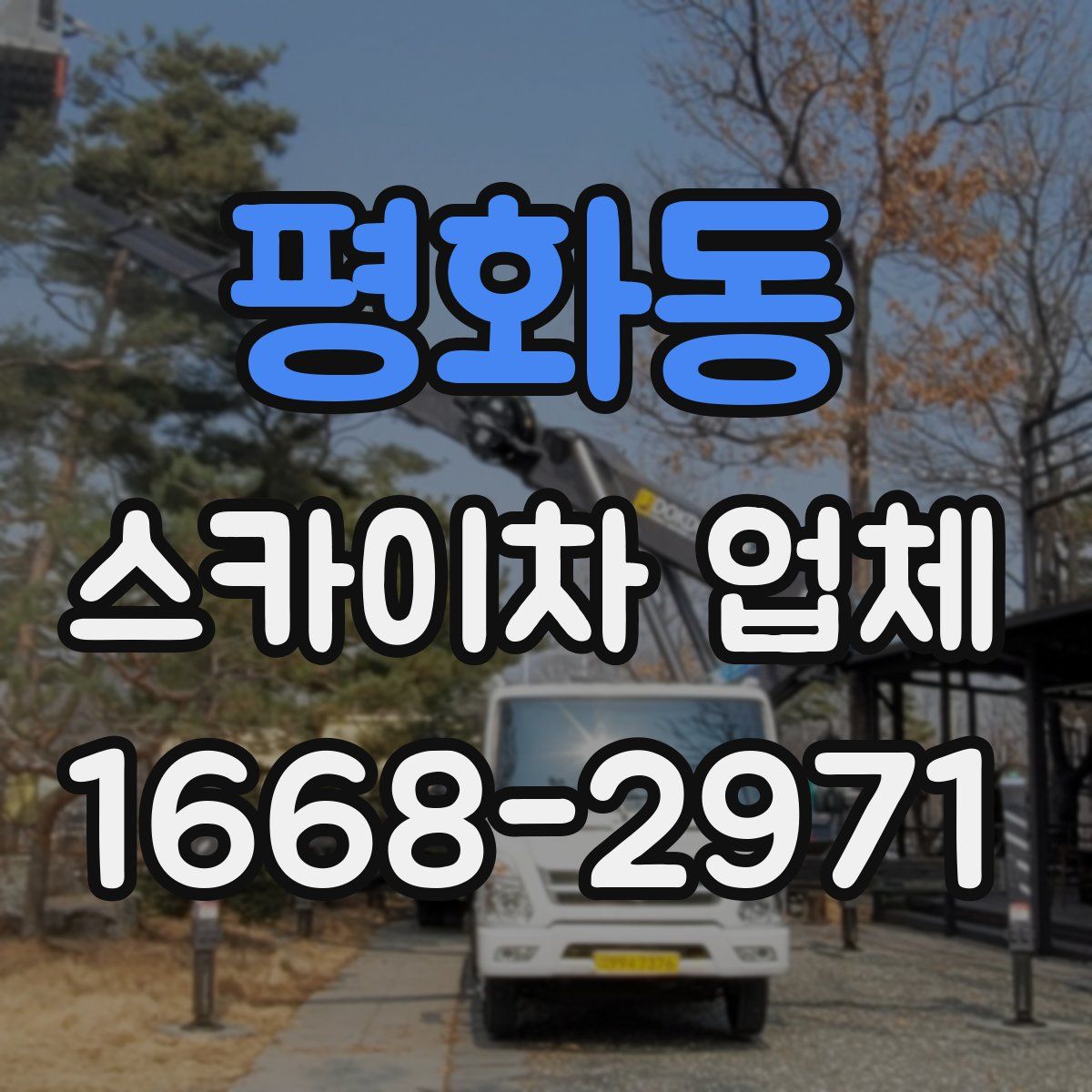 평화동 스카이차 업체