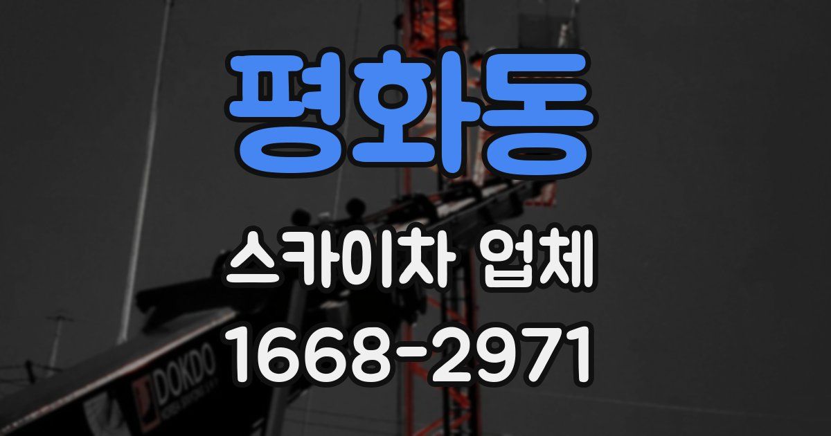 평화동 스카이차 업체